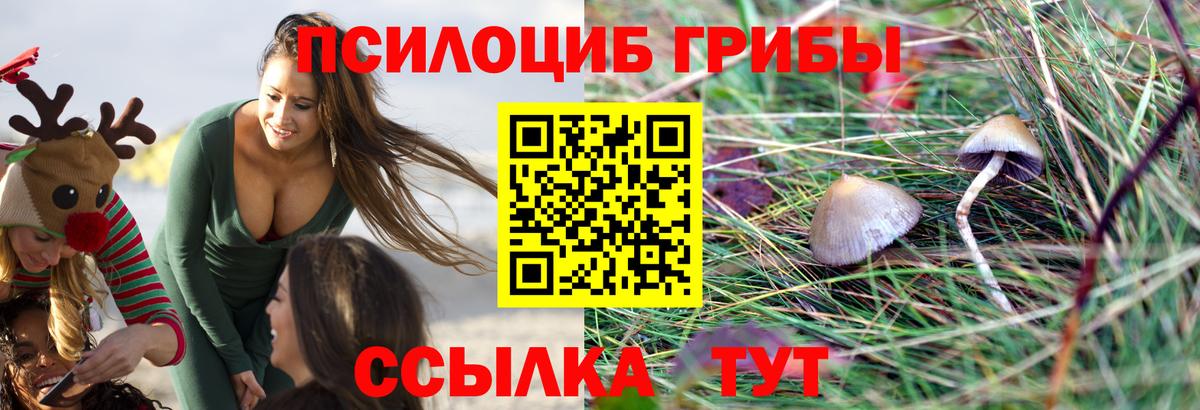 Тулун  Псилоцибиновые грибы MAGIC MUSHROOMS  Вход с VPN 